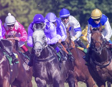 GRAND NATIONAL: TOP 15 FUNNY HORSE NAMES